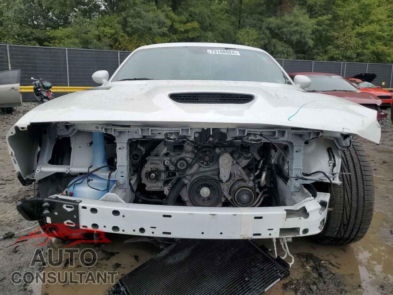 DODGE CHALLENGER 2023 - 2C3CDZBT6PH500073