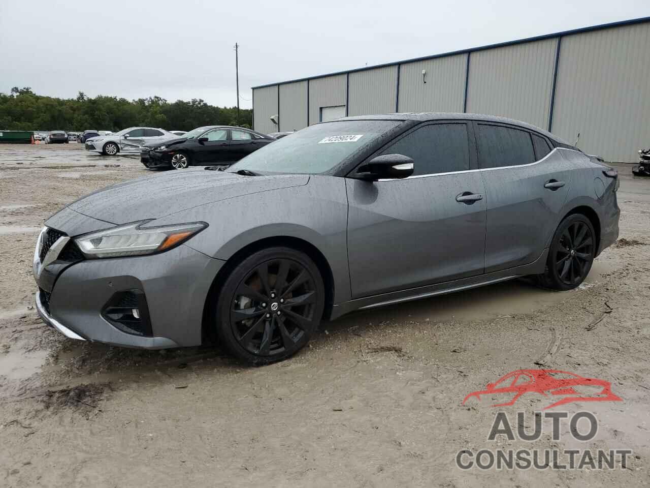 NISSAN MAXIMA 2019 - 1N4AA6AVXKC362584