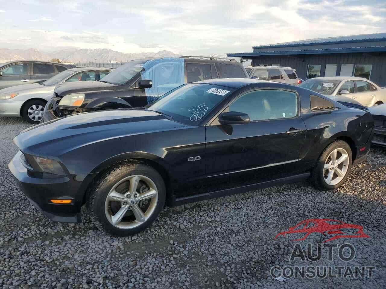 FORD MUSTANG 2011 - 1ZVBP8CFXB5104985