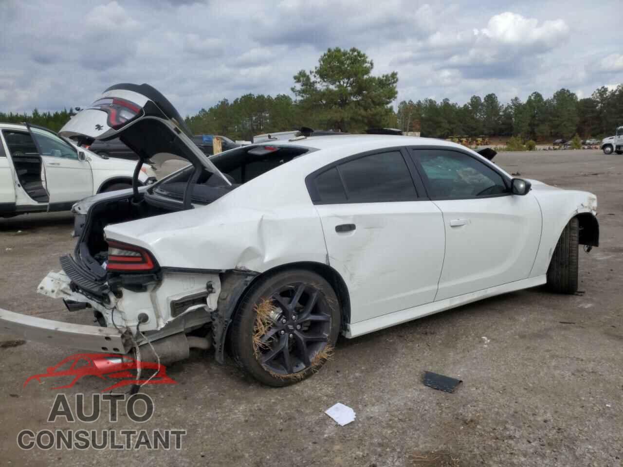DODGE CHARGER 2019 - 2C3CDXCTXKH721557