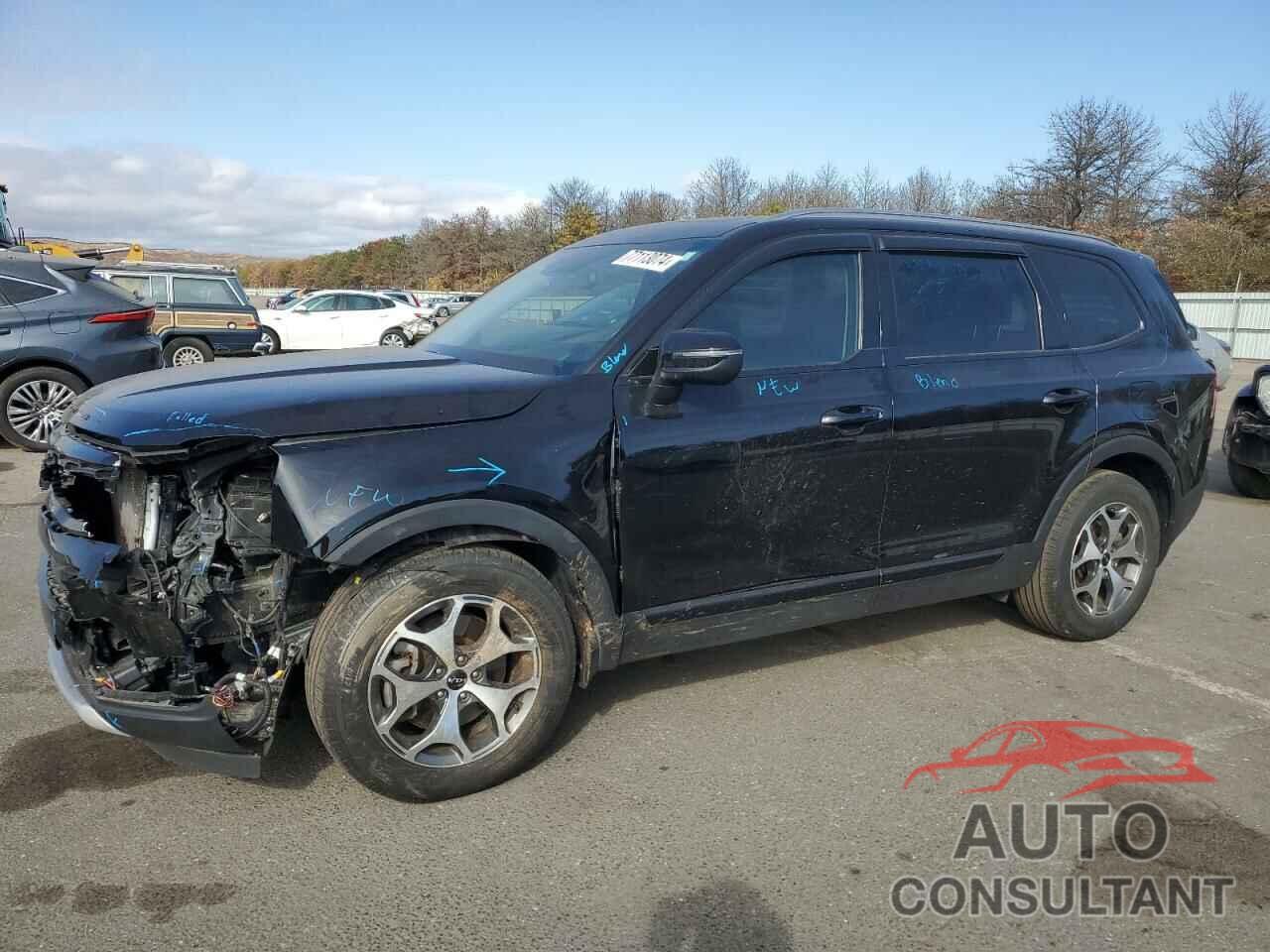 KIA TELLURIDE 2022 - 5XYP3DHC6NG298728