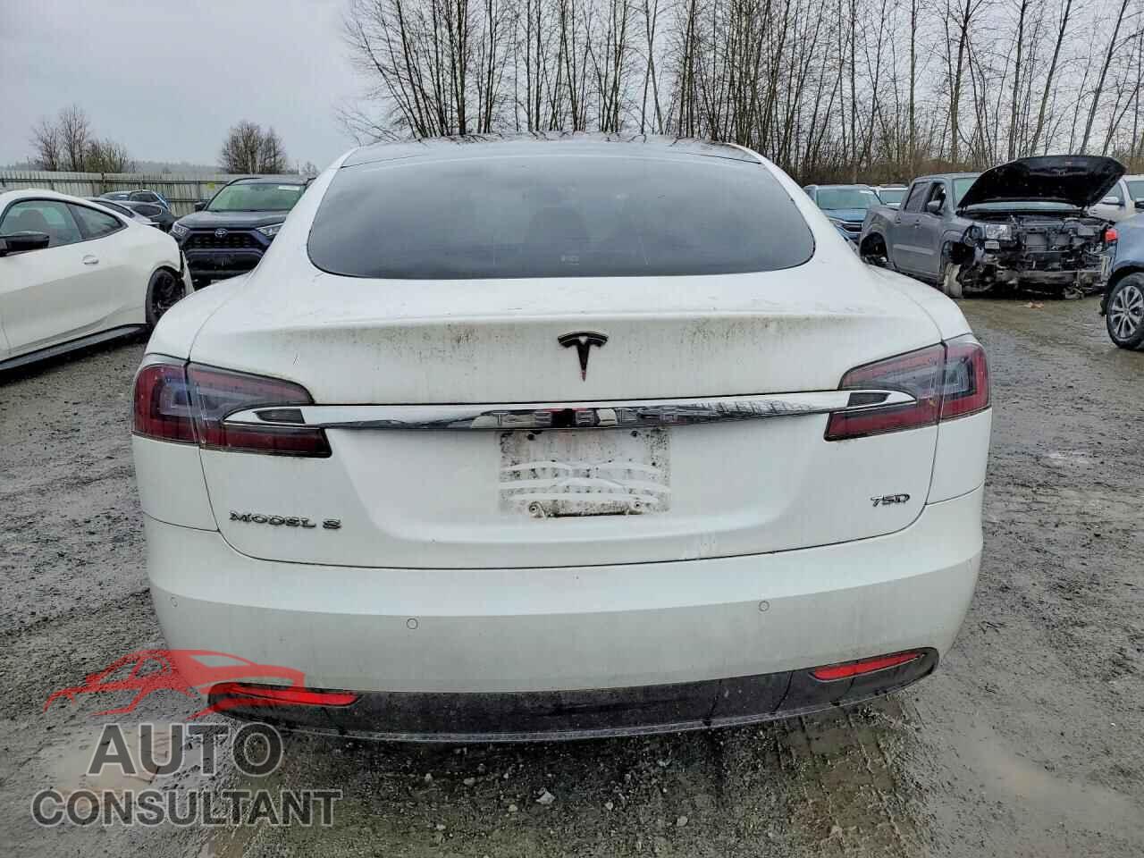 TESLA MODEL S 2017 - 5YJSA1E25HF224786