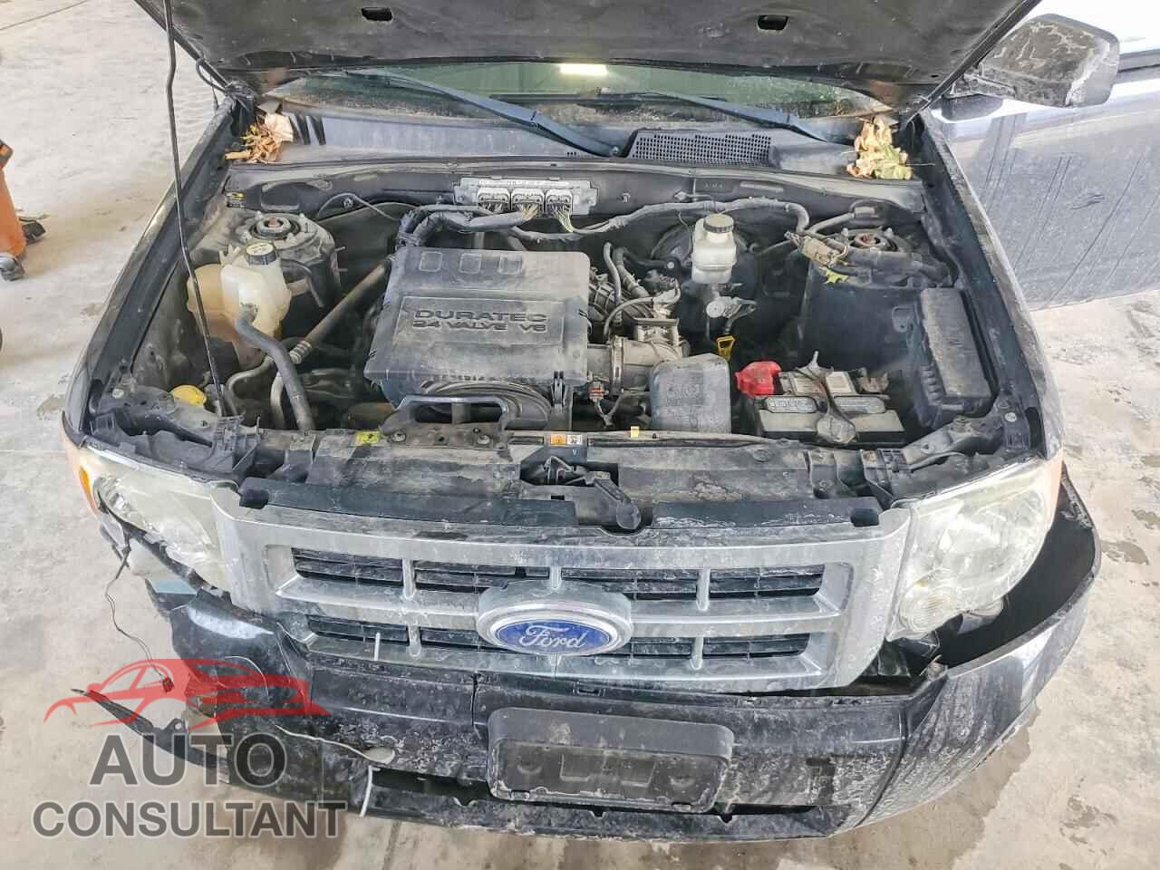FORD ESCAPE 2011 - 1FMCU0DG7BKC04323