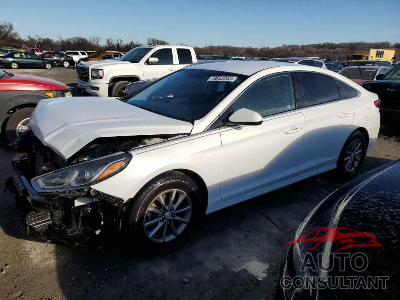 HYUNDAI SONATA 2019 - 5NPE24AF3KH741890