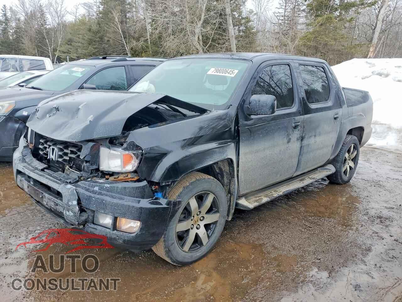 HONDA RIDGELINE 2014 - 5FPYK1F8XEB501574