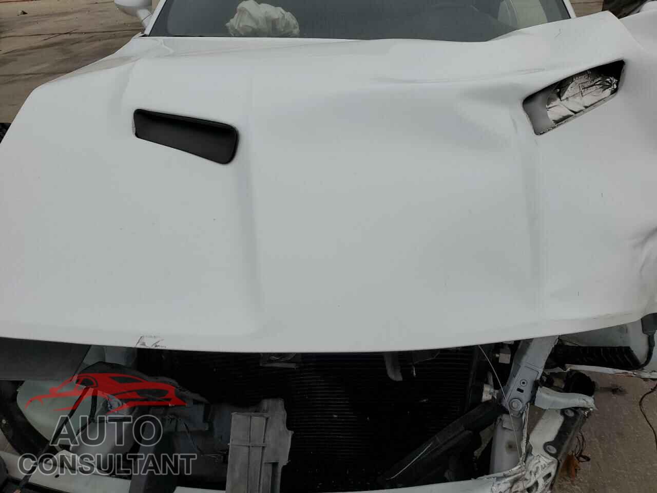 DODGE CHALLENGER 2019 - 2C3CDZAG3KH605411