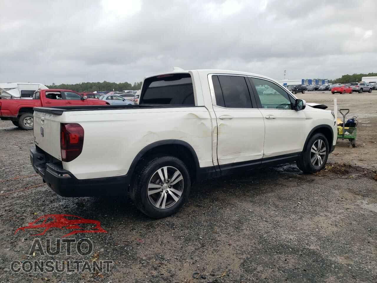 HONDA RIDGELINE 2017 - 5FPYK2F45HB010594