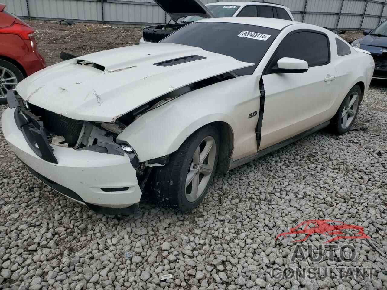 FORD MUSTANG 2011 - 1ZVBP8CF7B5131805