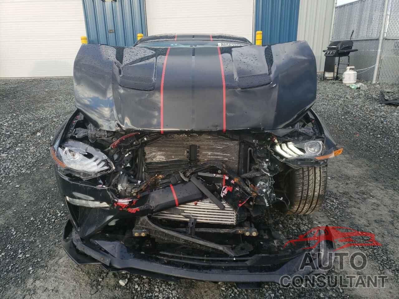 FORD ALL Models 2019 - 1FA6P8TH6K5154892