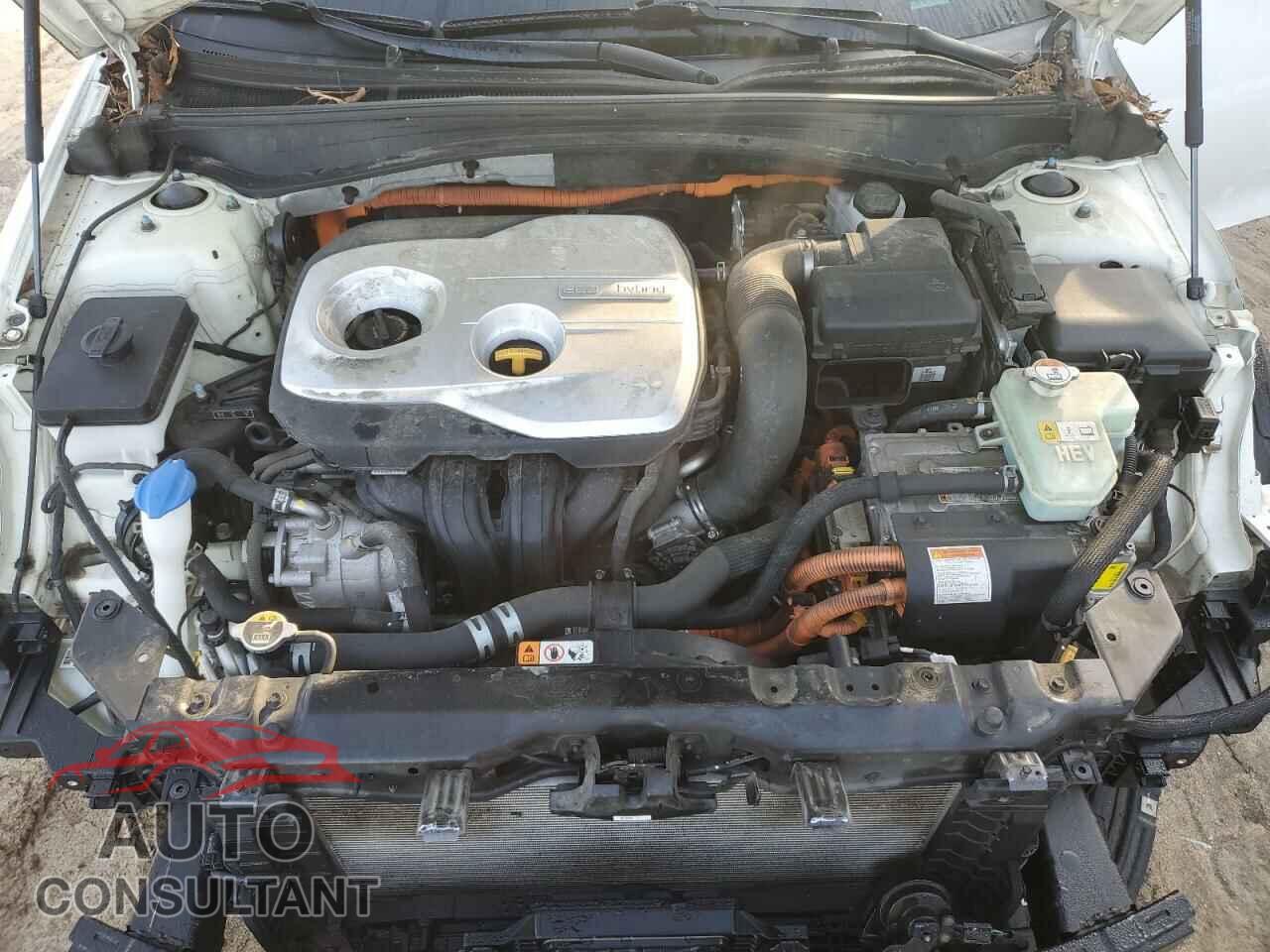 KIA OPTIMA 2018 - KNAGT4LE3J5021799