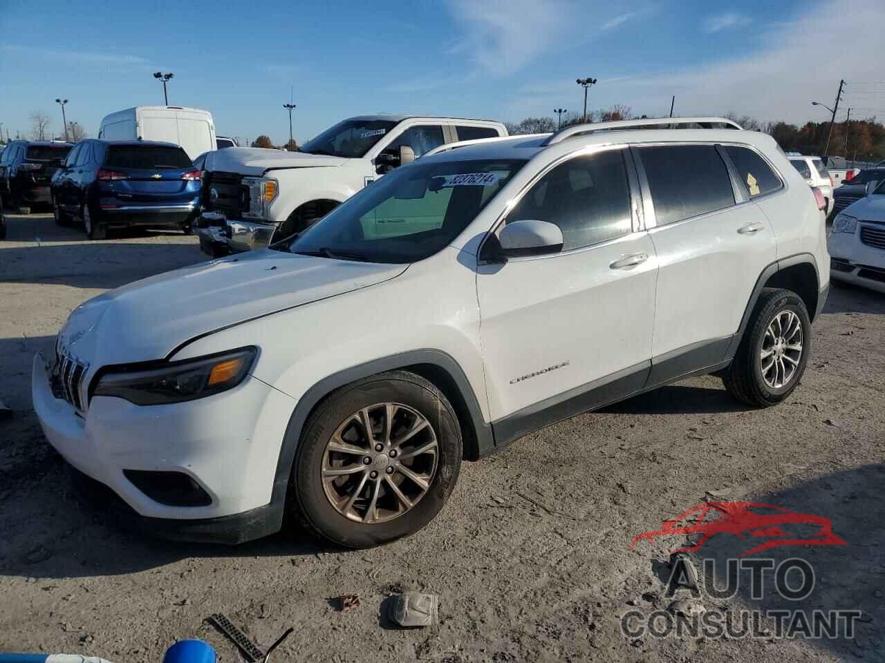 JEEP GRAND CHER 2019 - 1C4PJLLB1KD176822
