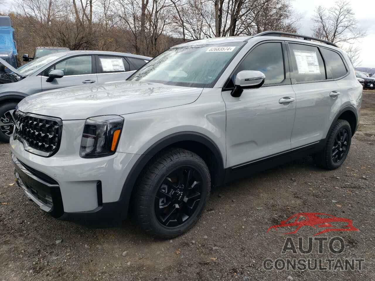 KIA TELLURIDE 2024 - 5XYP5DGC6RG459578
