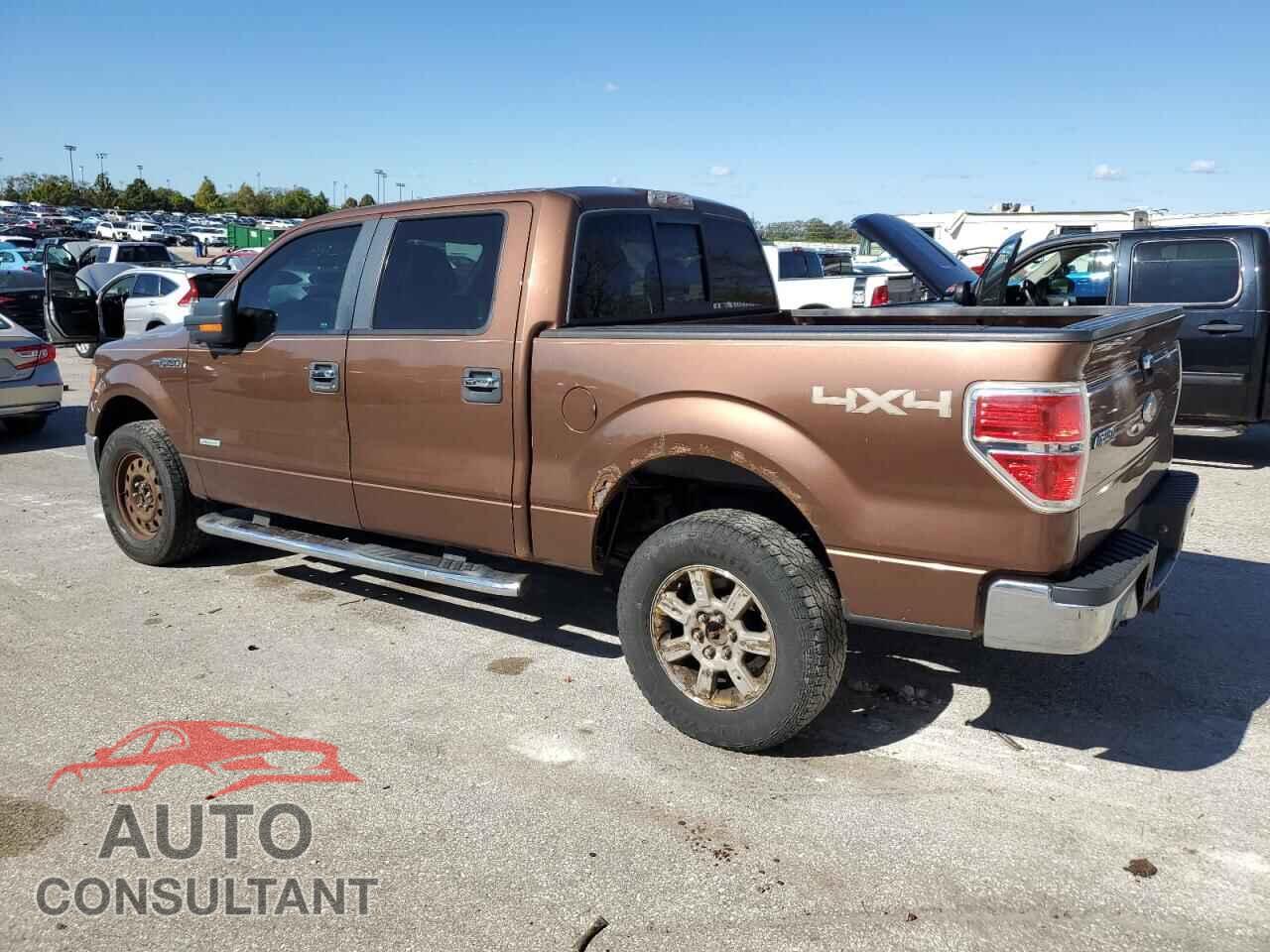 FORD F-150 2011 - 1FTFW1ET7BFC44259