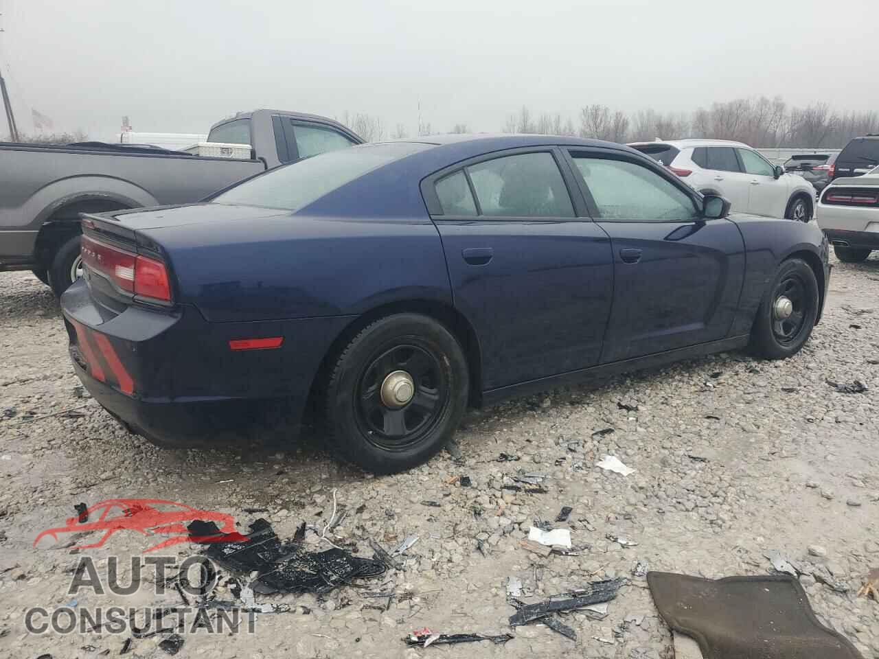 DODGE CHARGER 2014 - 2C3CDXAT8EH223865