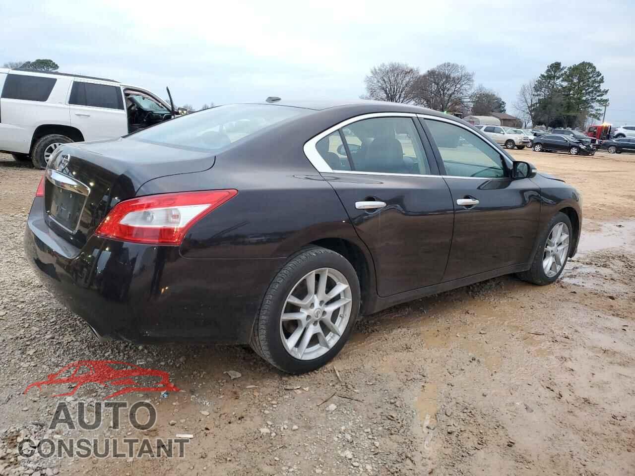 NISSAN MAXIMA 2011 - 1N4AA5AP1BC809668