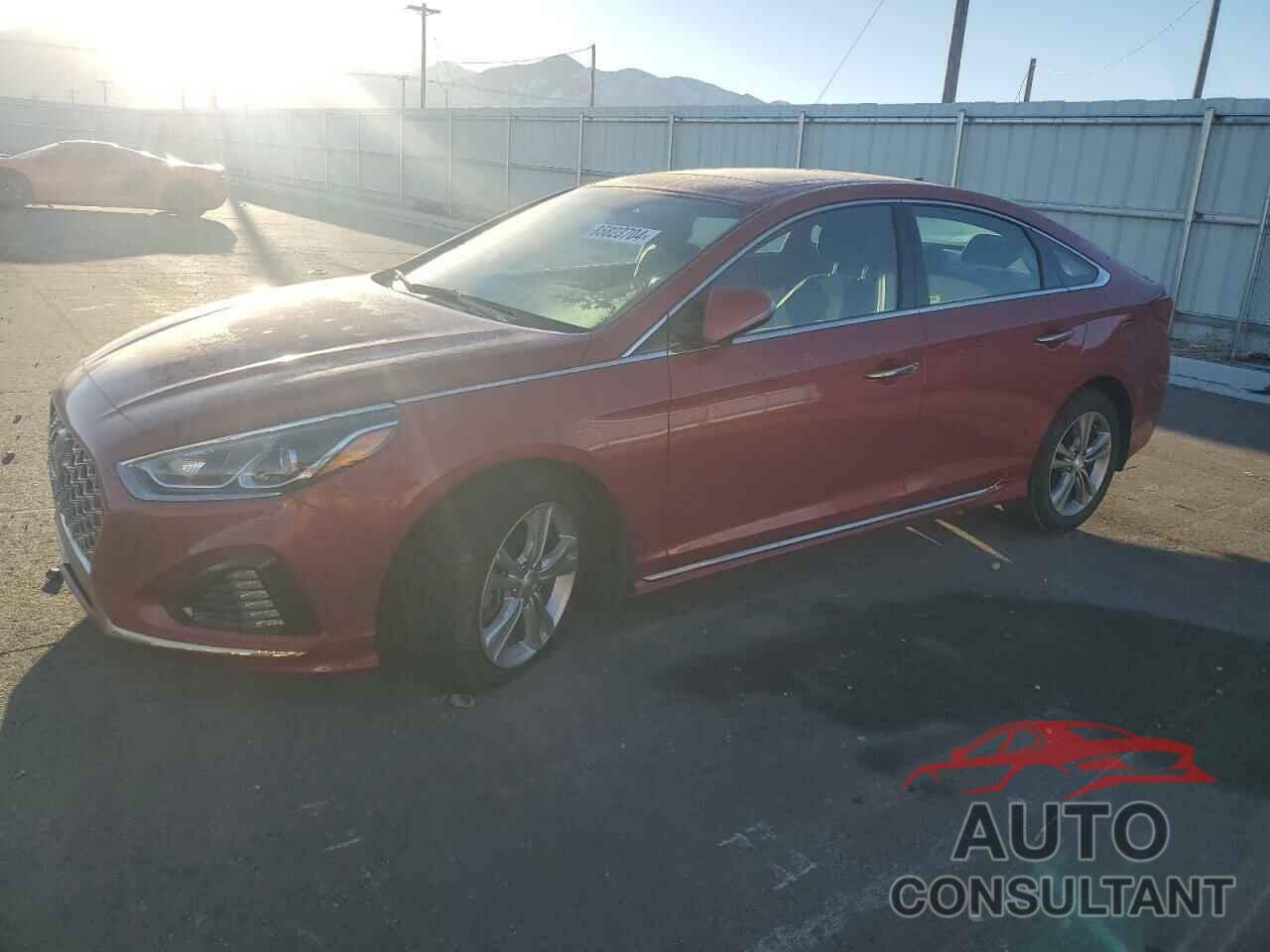 HYUNDAI SONATA 2019 - 5NPE34AF8KH757614