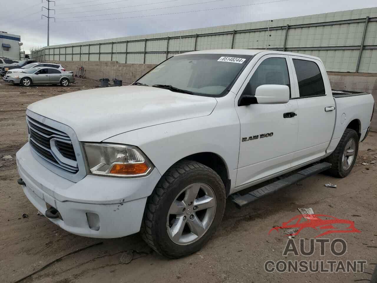 DODGE All Models 2011 - 1D7RV1CPXBS687301