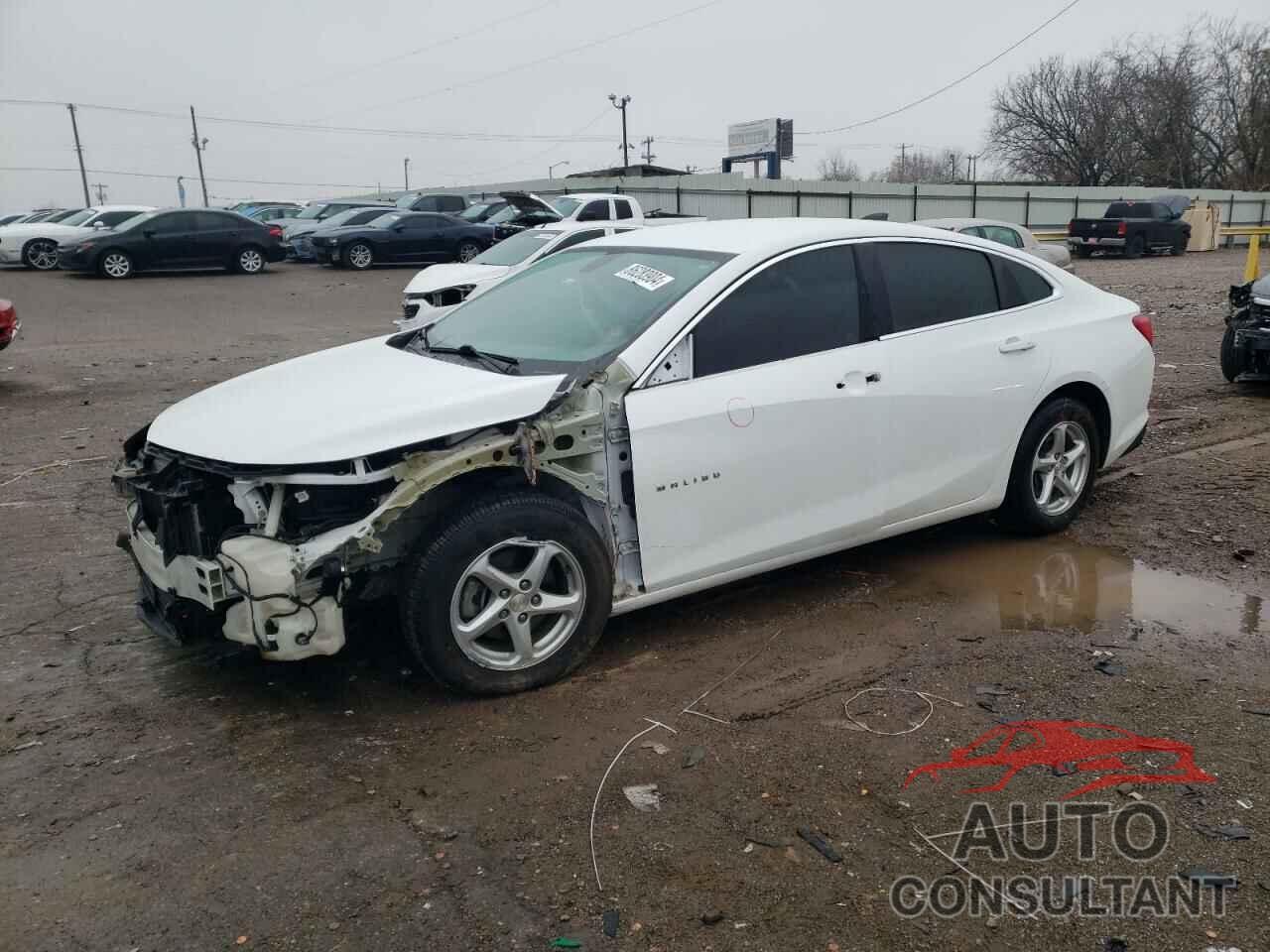 CHEVROLET MALIBU 2017 - 1G1ZB5ST0HF187196