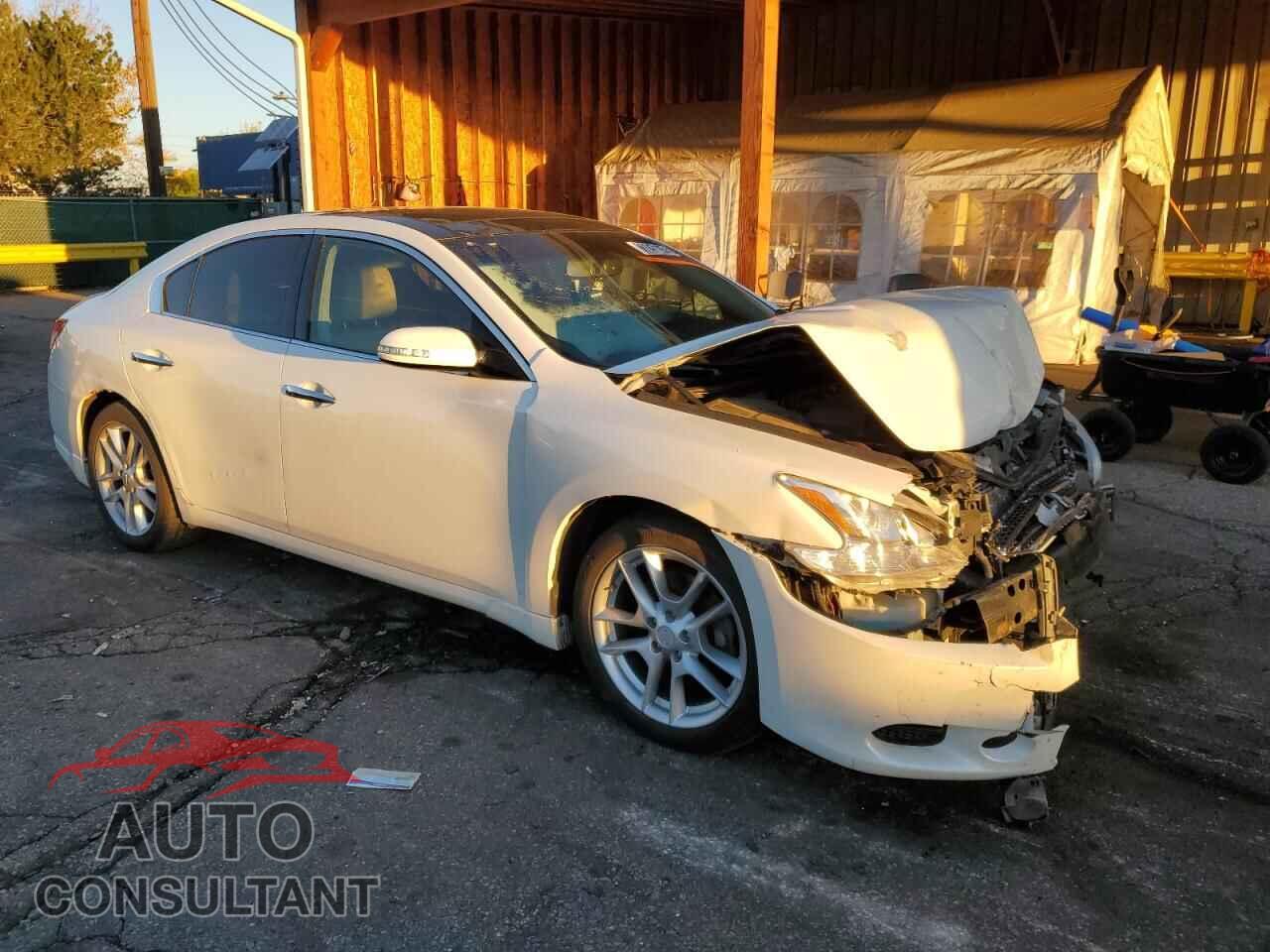 NISSAN MAXIMA 2011 - 1N4AA5AP1BC820623