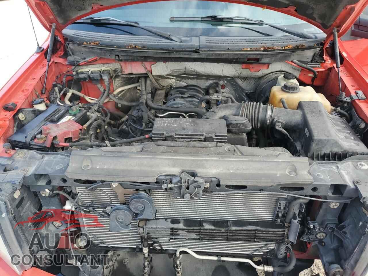 FORD F-150 2013 - 1FTFW1CF8DFD33113