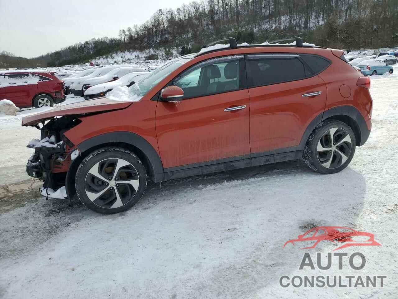 HYUNDAI TUCSON 2016 - KM8J3CA25GU154621