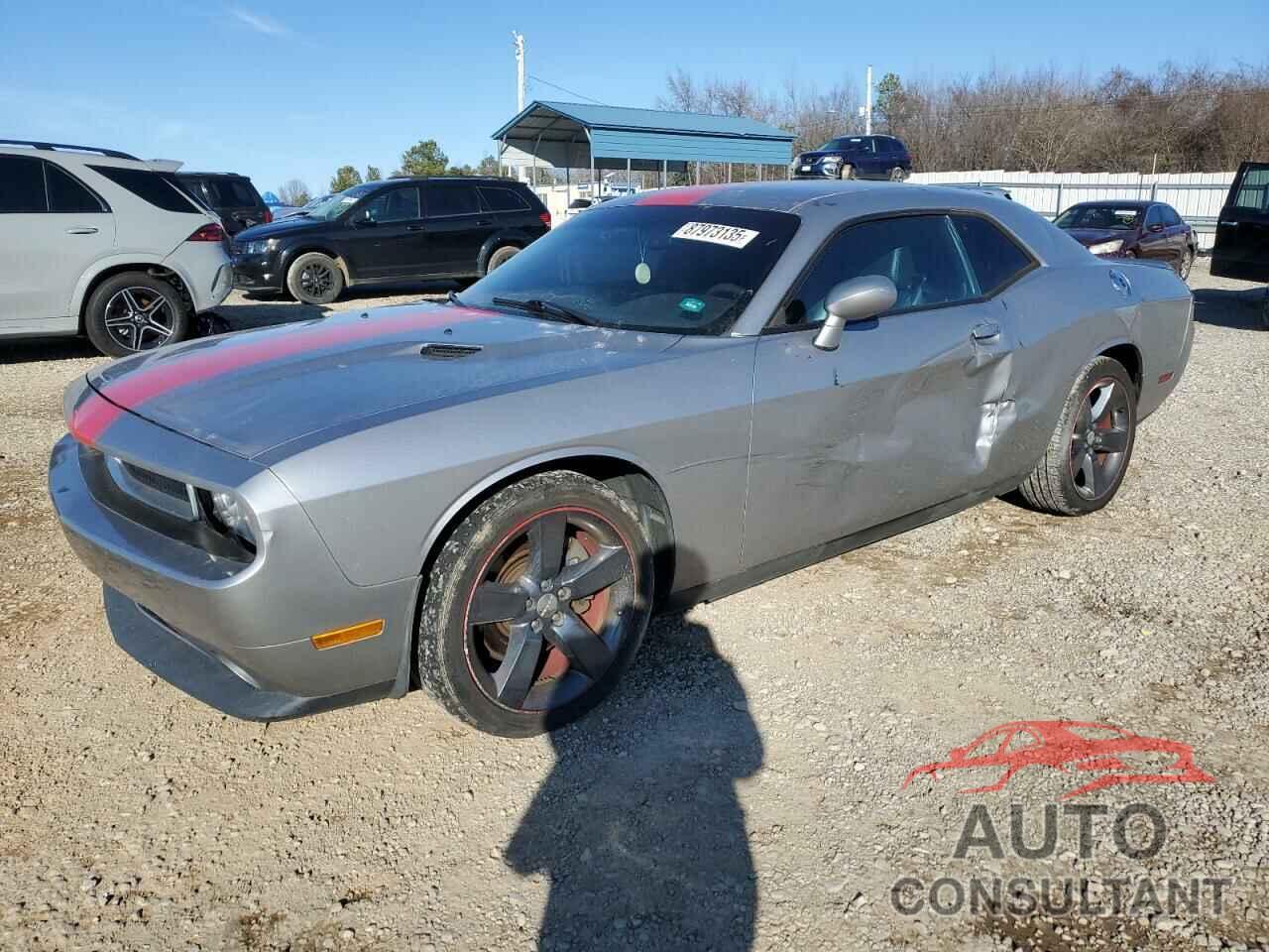 DODGE CHALLENGER 2013 - 2C3CDYAG9DH653590