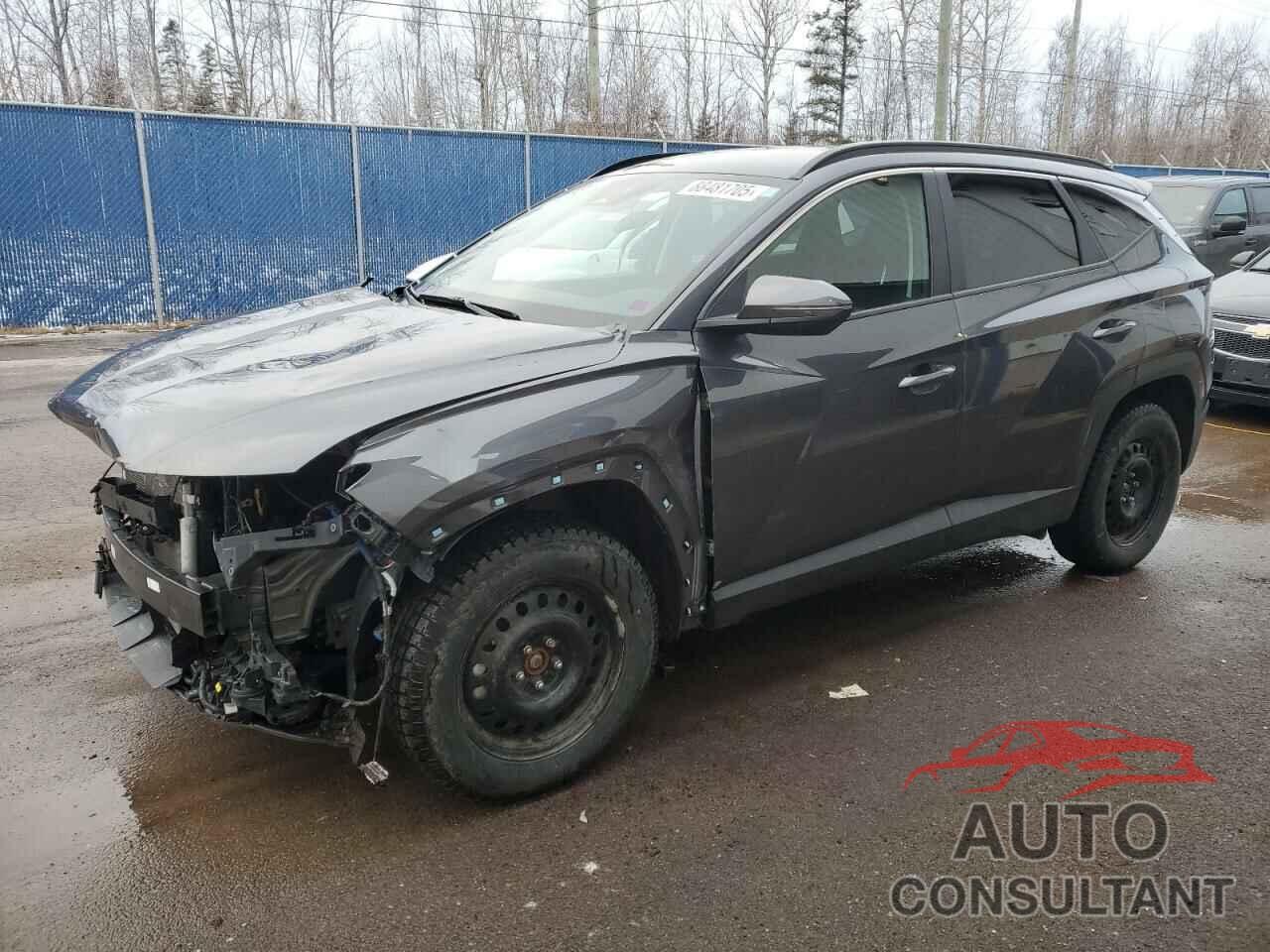 HYUNDAI TUCSON 2023 - KM8JBCAE9PU258879