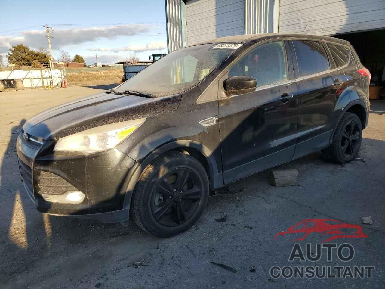 FORD ESCAPE 2014 - 1FMCU9GX7EUB85913