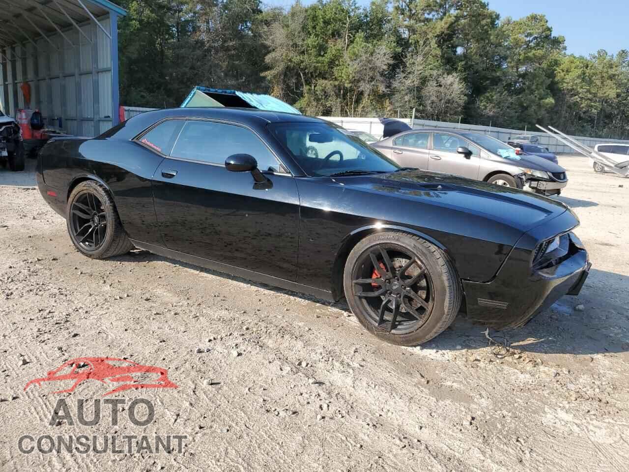 DODGE CHALLENGER 2012 - 2C3CDYBT6CH291955