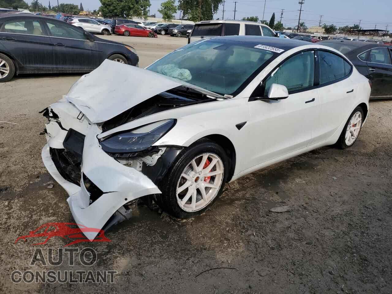 TESLA MODEL 3 2021 - 5YJ3E1EA1MF940403