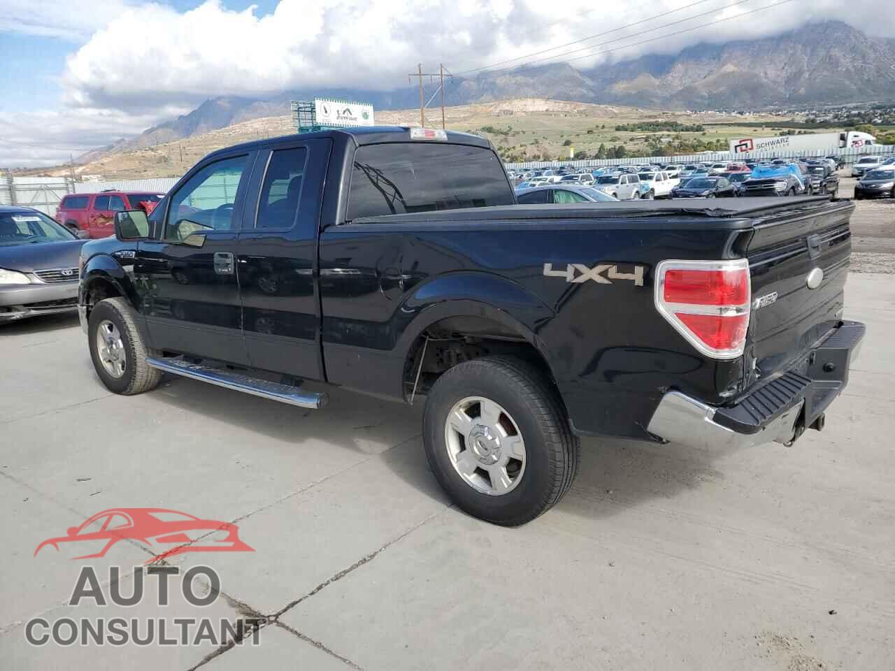 FORD F-150 2011 - 1FTFX1EF9BFC31486