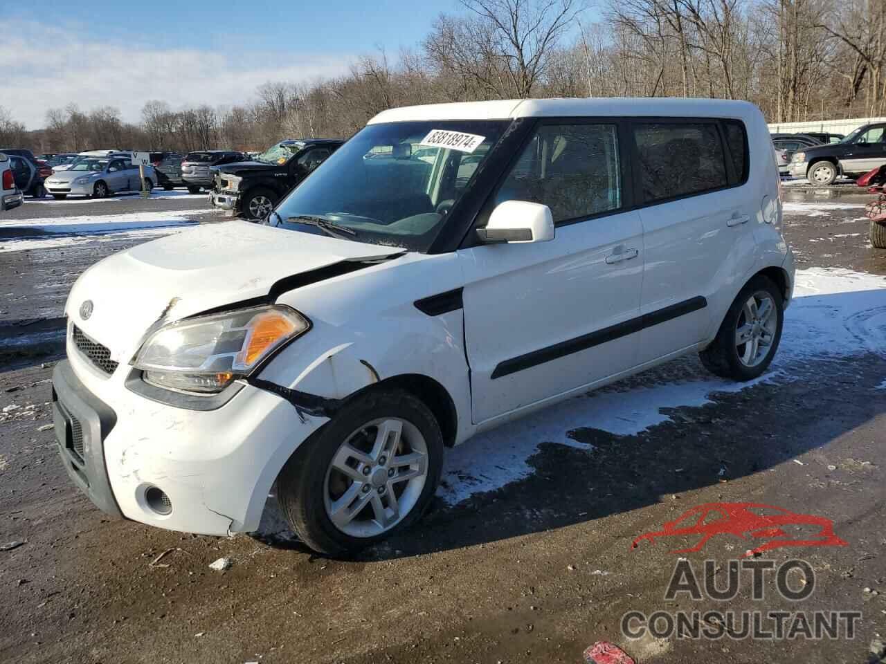 KIA SOUL 2011 - KNDJT2A23B7328319