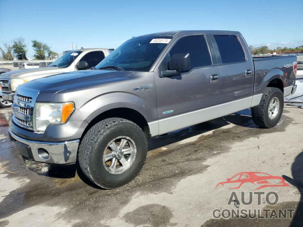 FORD F-150 2013 - 1FTFW1ET1DKF29873