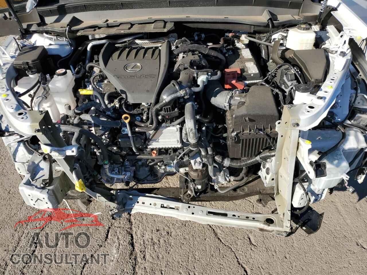LEXUS TX 350 BAS 2024 - 5TDAAAB69RS016491