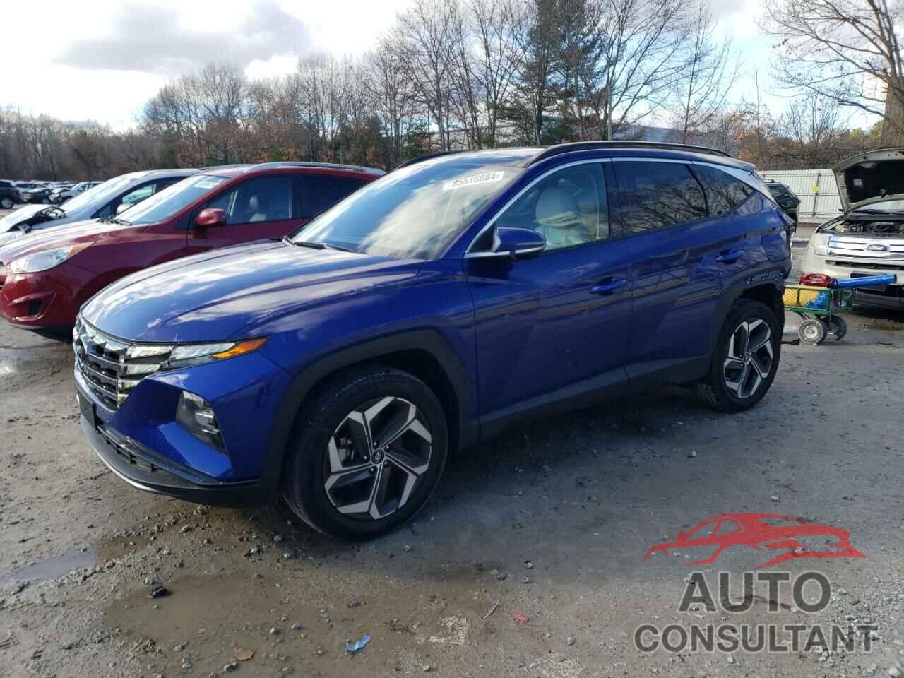 HYUNDAI TUCSON 2024 - 5NMJECDE3RH345548