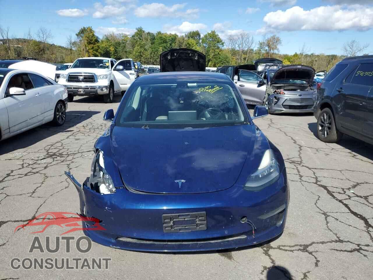 TESLA MODEL 3 2018 - 5YJ3E1EA1JF022520