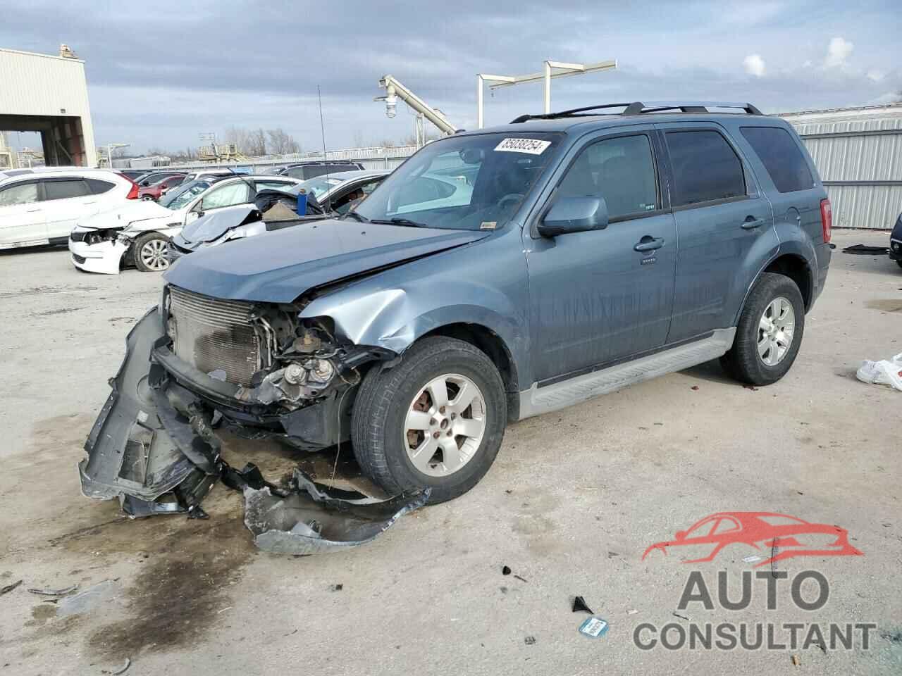 FORD ESCAPE 2010 - 1FMCU9EGXAKC83505