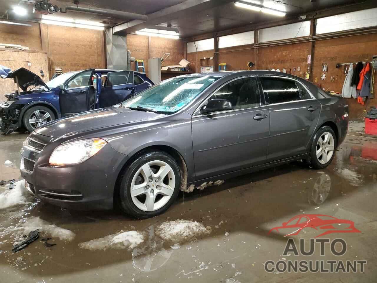 CHEVROLET MALIBU 2010 - 1G1ZB5EB7AF301574