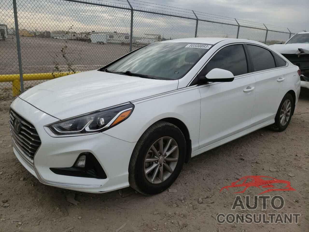 HYUNDAI SONATA 2019 - 5NPE24AF8KH796402