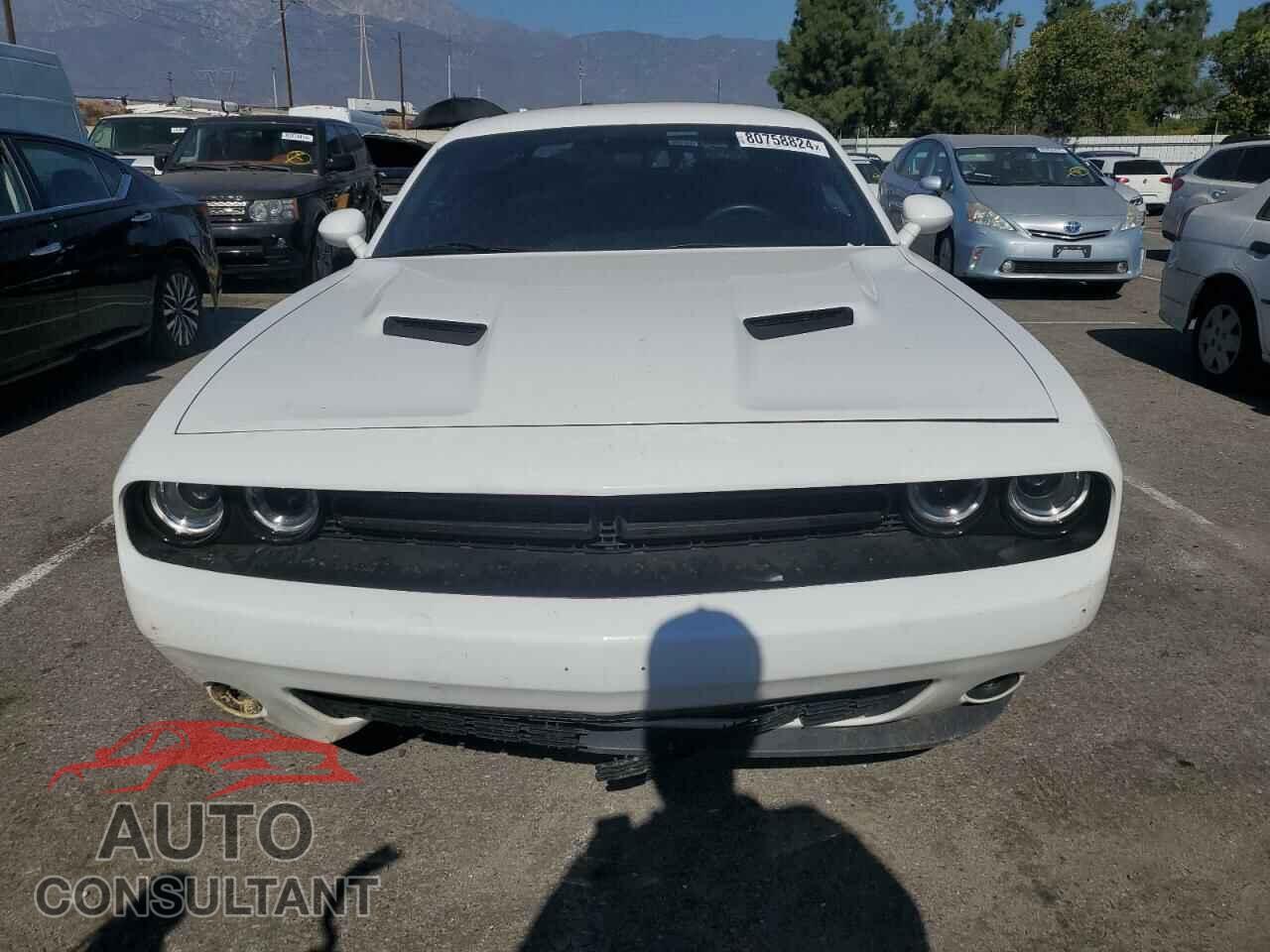 DODGE CHALLENGER 2019 - 2C3CDZAG2KH591971