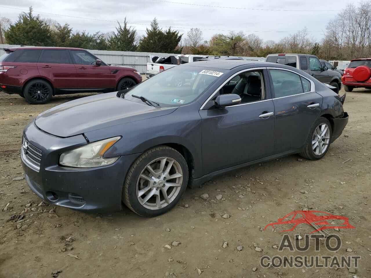 NISSAN MAXIMA 2010 - 1N4AA5AP3AC856991