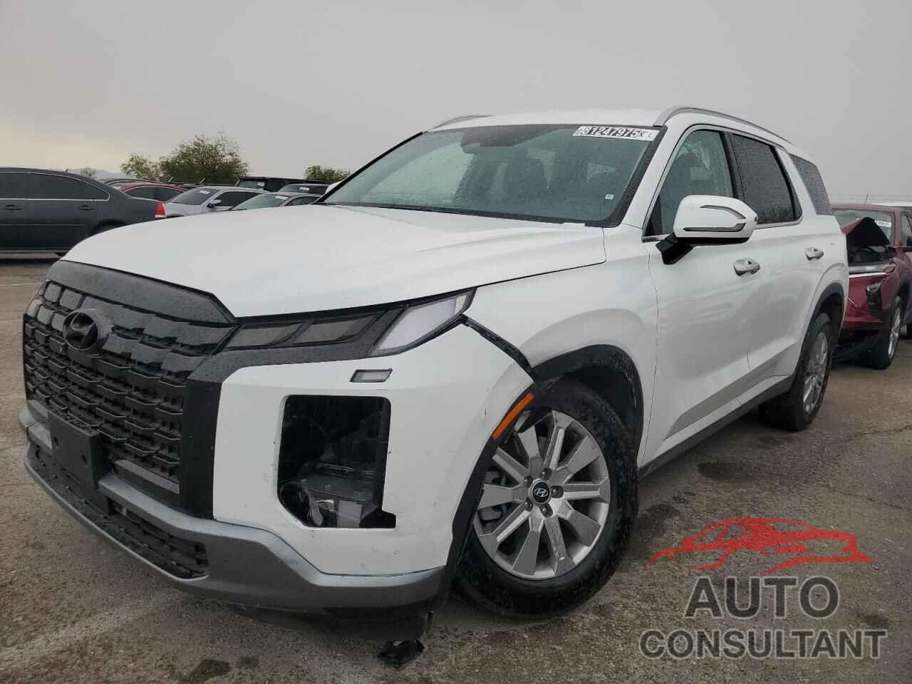 HYUNDAI PALISADE 2025 - KM8R24GE6SU929563