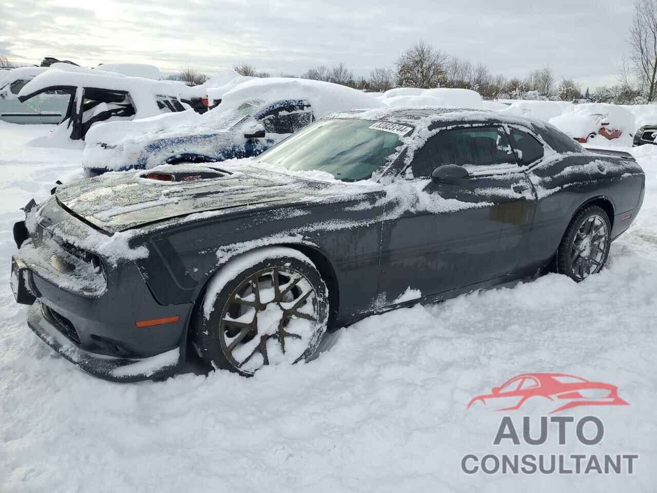 DODGE CHALLENGER 2016 - 2C3CDZFJ3GH283218