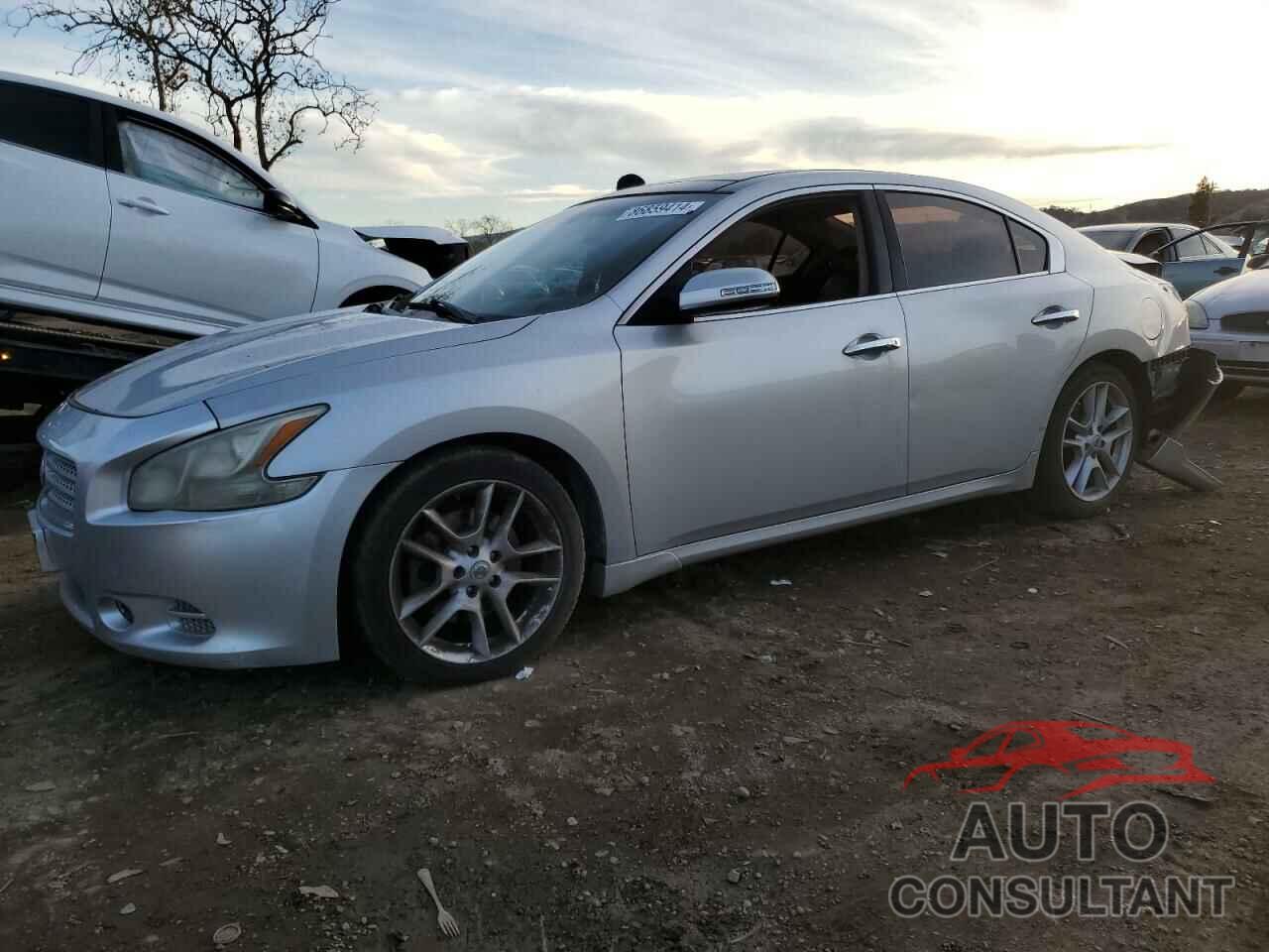 NISSAN MAXIMA 2011 - 1N4AA5AP6BC812503
