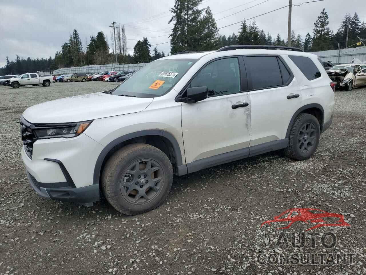 HONDA PILOT 2023 - 5FNYG1H64PB034788