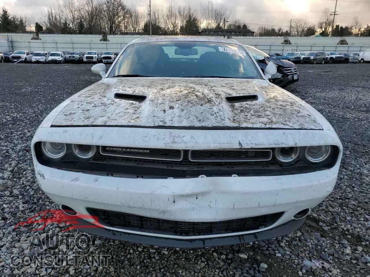 DODGE CHALLENGER 2019 - 2C3CDZAG6KH687747