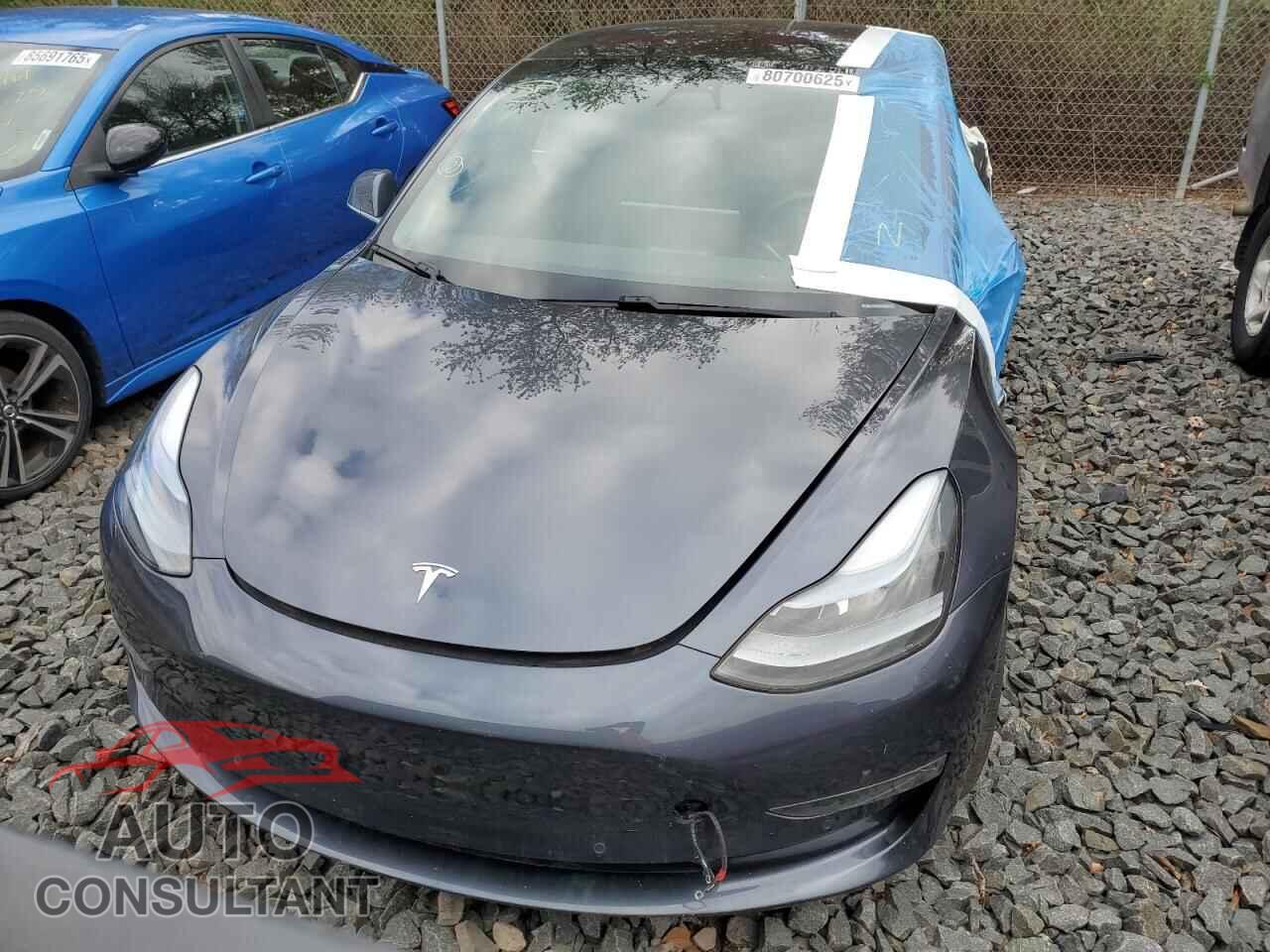 TESLA MODEL 3 2019 - 5YJ3E1EB8KF481277