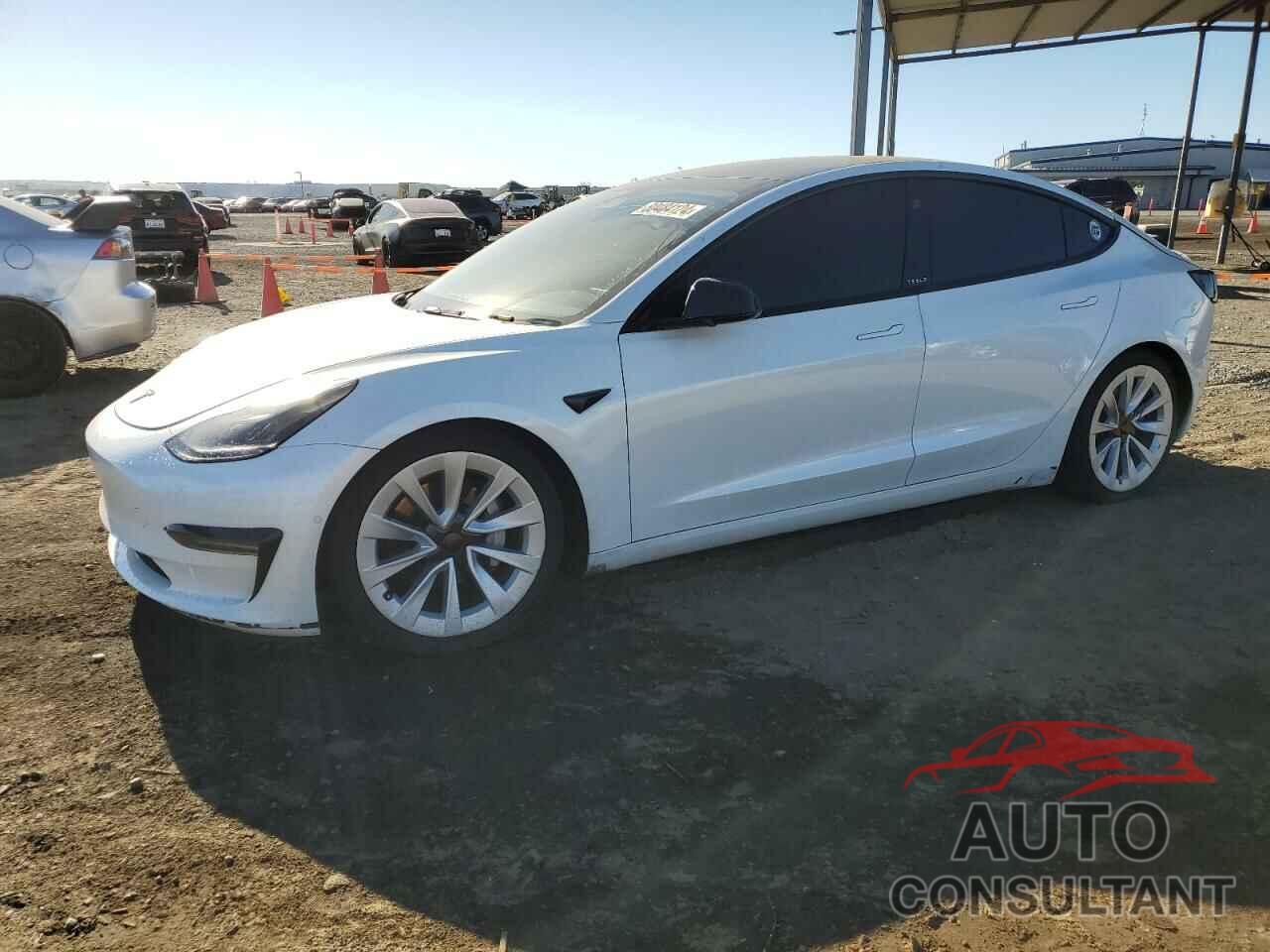 TESLA MODEL 3 2022 - 5YJ3E1EA8NF191780