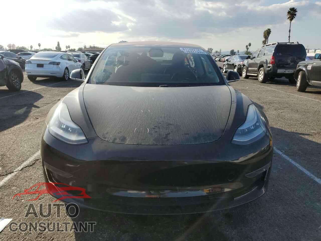 TESLA MODEL 3 2018 - 5YJ3E1EA9JF172603