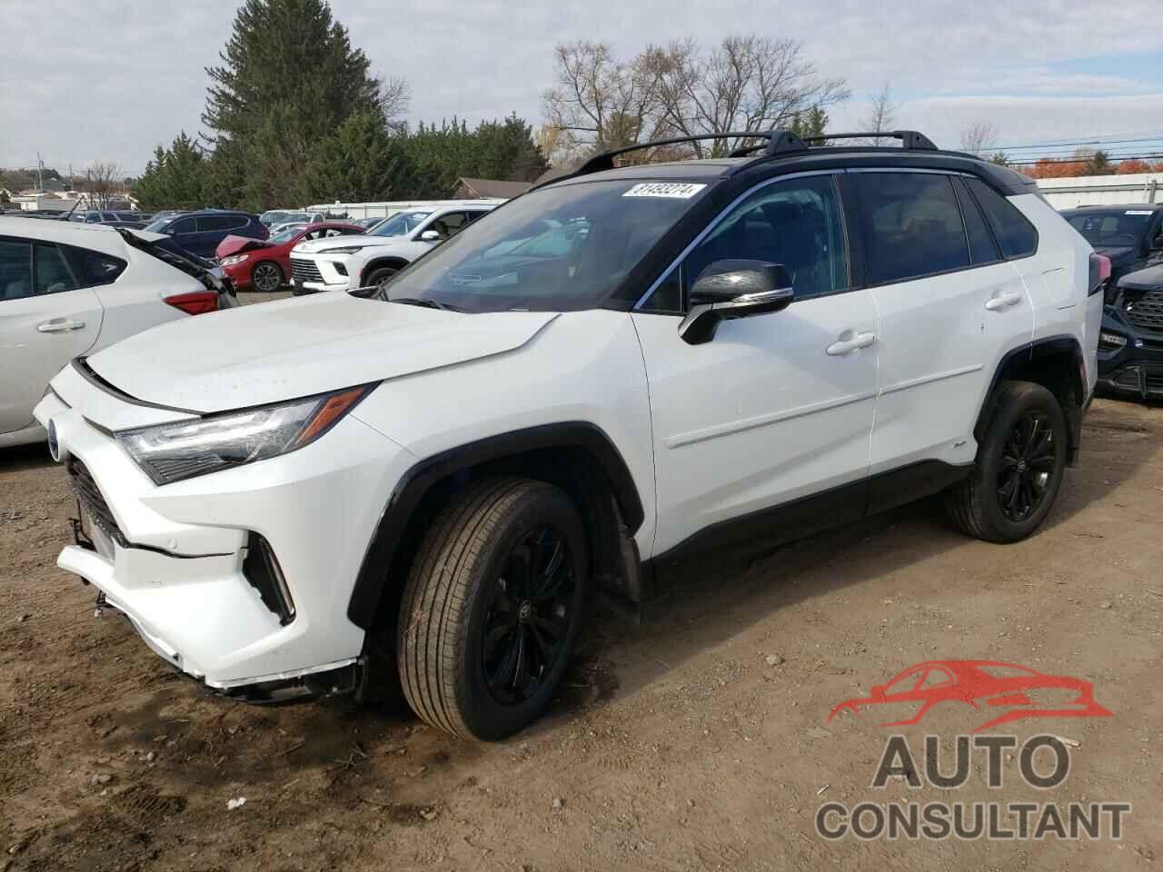 TOYOTA RAV4 2024 - 2T3E6RFV4RW066930